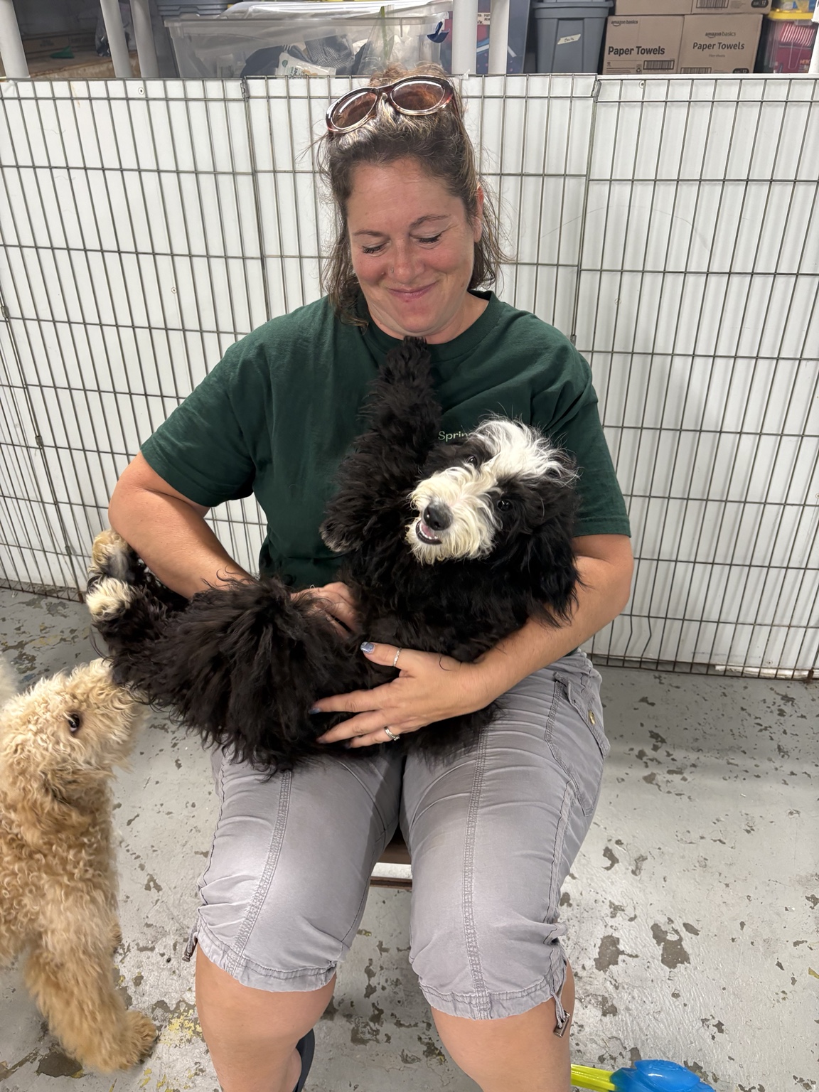 Karen Lofty with rescue dogs